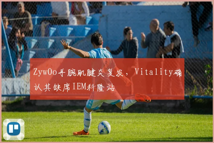 ZywOo手腕肌腱炎复发,Vitality确认其缺席IEM科隆站